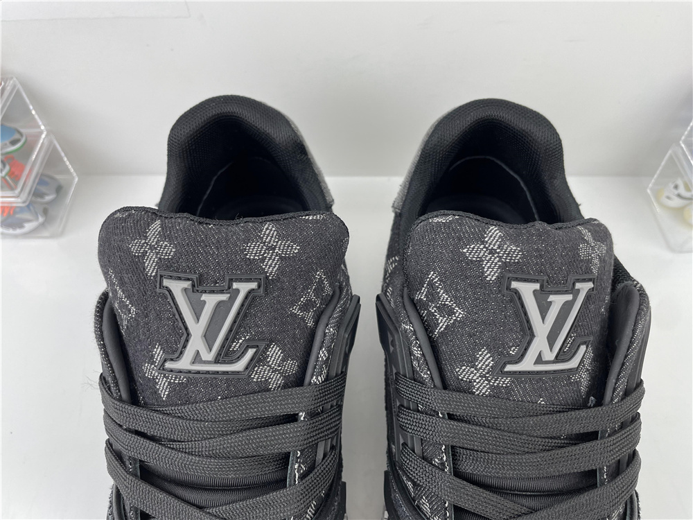 l**is V*t*n lv trainer