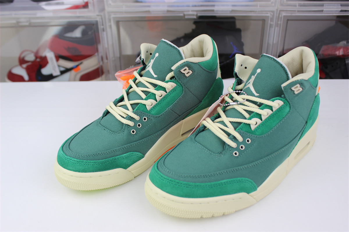nina Ch*el abney x air jordan 3 og sp wmns