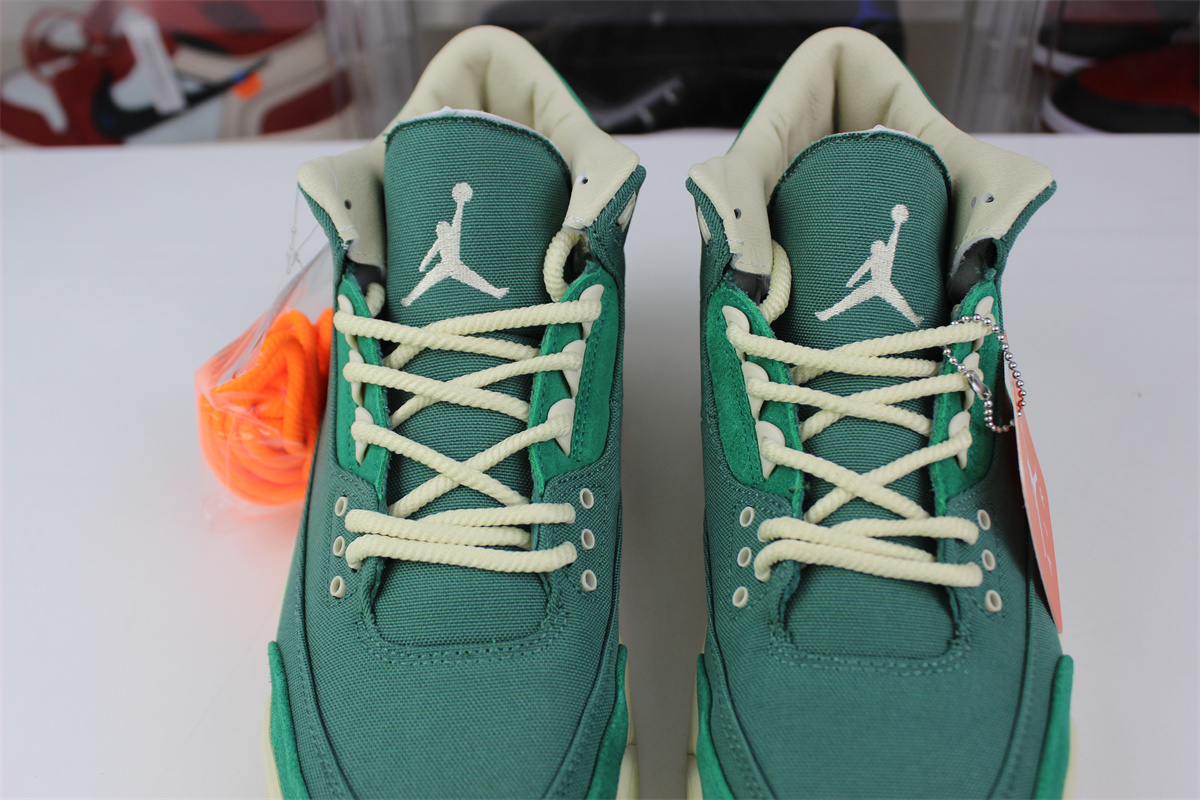 nina Ch*el abney x air jordan 3 og sp wmns