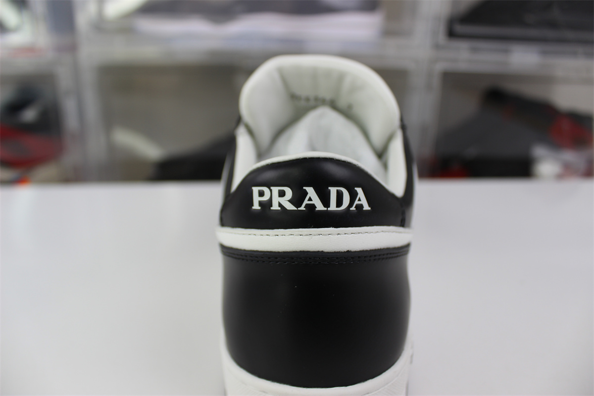 Pra*a america’s cup black white panda