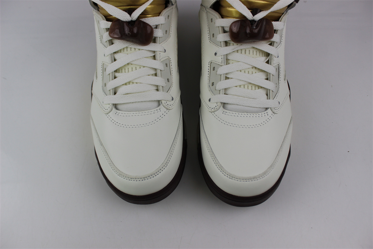 Air Jordan 5 “Earth”