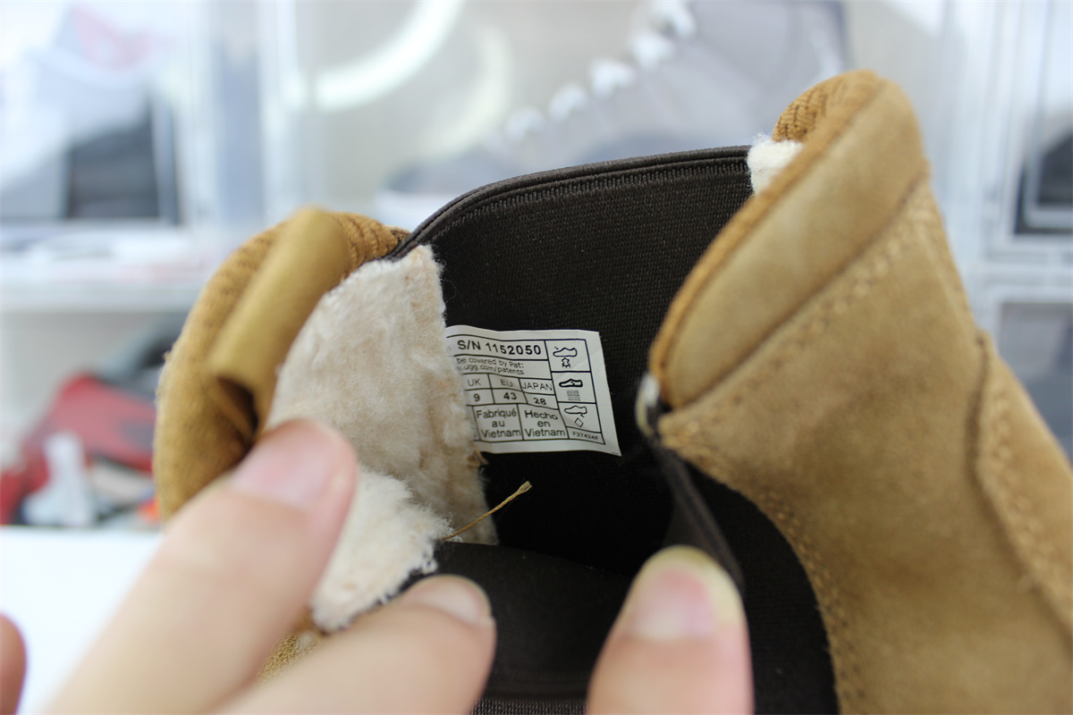UGG Men