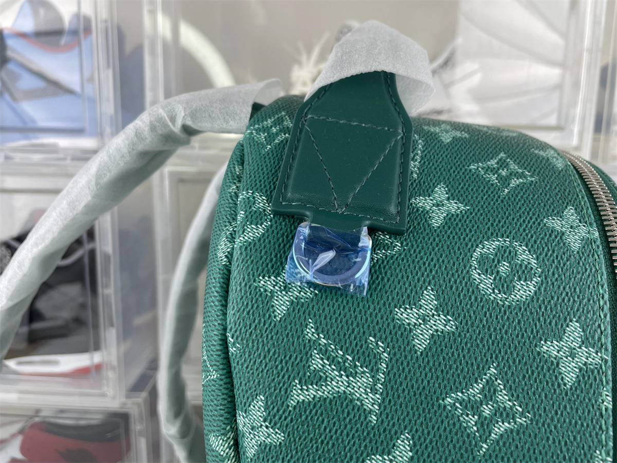 LV BackPack Green ( 29 x 38 x 20 cm)
