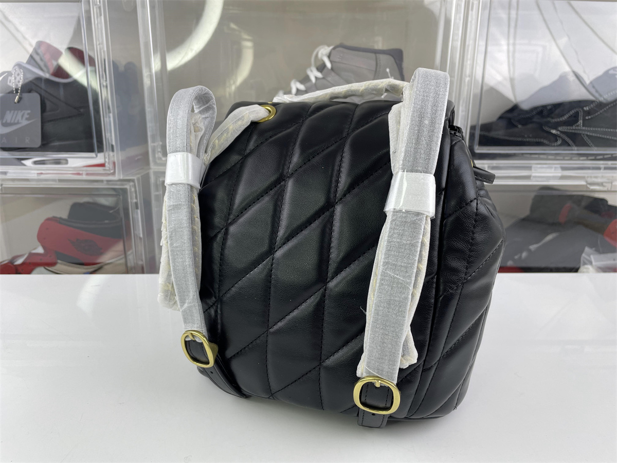 Coach Black Ladies backpack  (23 cm)