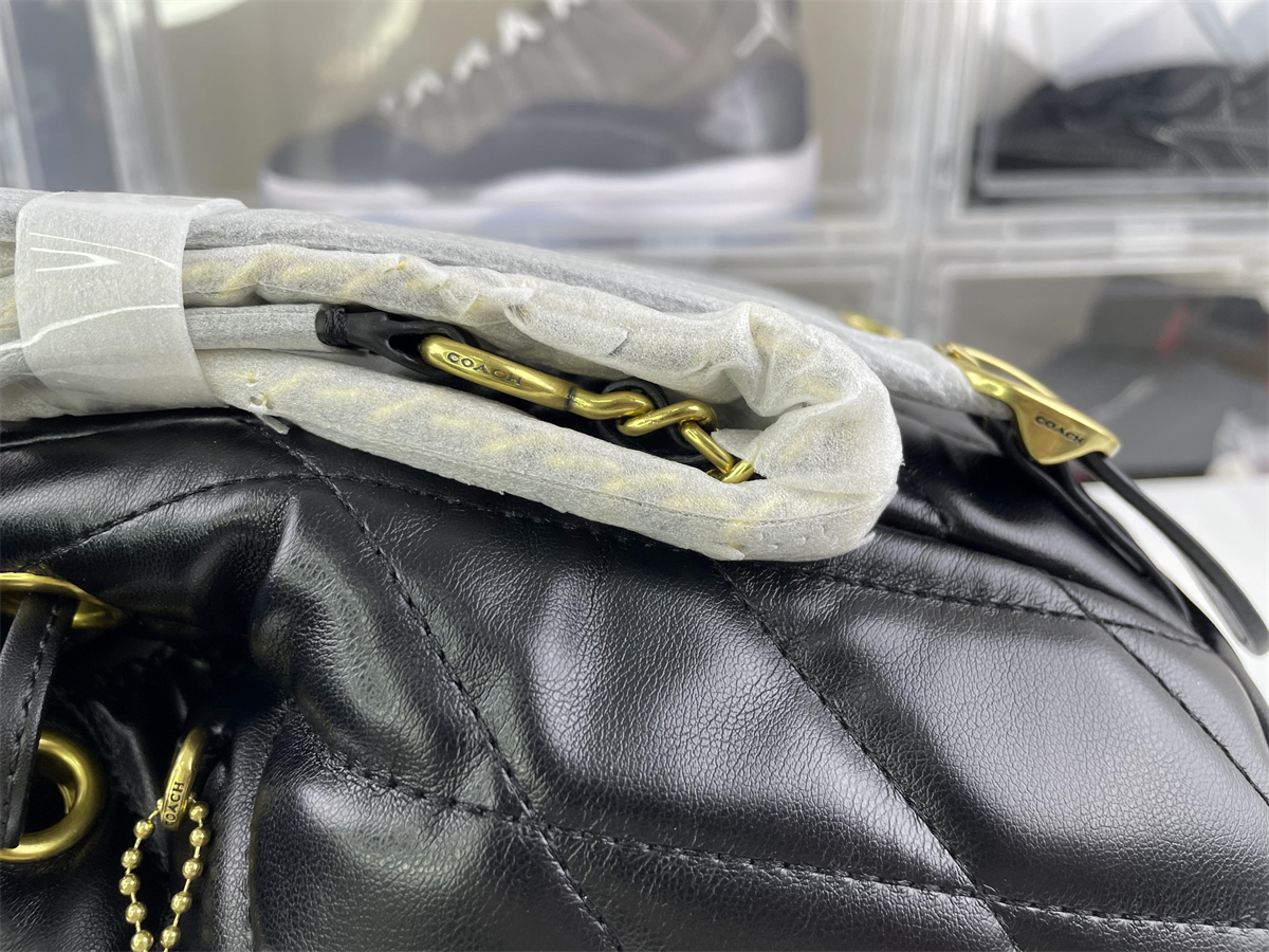 Coach Black Ladies backpack  (23 cm)